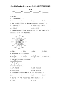 山东省济宁市梁山县2020-2021学年七年级下学期期中数学试题(word版含答案)