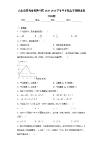 山东省青岛市西海岸区2020-2021学年八年级上学期期末数学试题（word版 含答案）