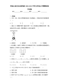 黑龙江省大庆市林甸县2020-2021学年九年级上学期期末数学试题（word版 含答案）