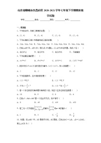 山东省聊城市东昌府区2020-2021学年七年级下学期期末数学试题(word版含答案)