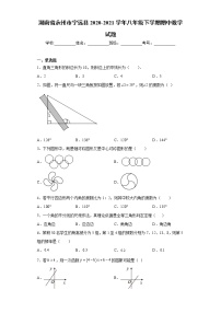 湖南省永州市宁远县2020-2021学年八年级下学期期中数学试题(word版含答案)