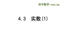 苏科版八年级上册4.3 实数教学课件ppt