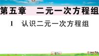 初中数学北师大版八年级上册1 认识二元一次方程组习题课件ppt