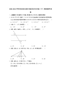 河北省石家庄市新乐市七年级下学期末考试数学试题