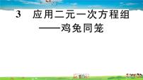 数学八年级上册3 应用二元一次方程组——鸡免同笼习题ppt课件