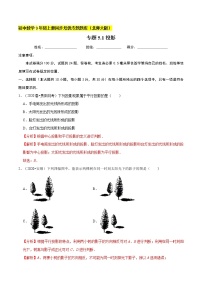 北师大版九年级上册1 投影巩固练习