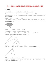 初中数学浙教版八年级上册1.1 认识三角形练习