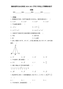 湖南省怀化市会同县2020-2021学年八年级上学期期末数学试题（word版 含答案）