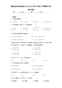 湖南省永州市新田县2020-2021学年七年级下学期期中考试数学试题（word版 含答案）