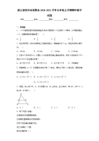 浙江省绍兴市诸暨市2020-2021学年九年级上学期期中数学试题（word版 含答案）