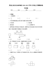 黑龙江省大庆市林甸县2020-2021学年七年级上学期期末数学试题（word版 含答案）