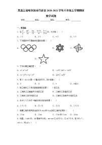 黑龙江省哈尔滨市巴彦县2020-2021学年八年级上学期期末数学试题（word版 含答案）