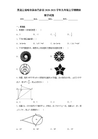 黑龙江省哈尔滨市巴彦县2020-2021学年九年级上学期期末数学试题（word版 含答案）