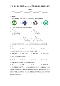 广东省广州市天河区2020-2021学年八年级上学期期中数学试题（word版 含答案）