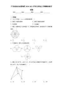 广东省汕头市澄海区2020-2021学年九年级上学期期末数学试题（word版 含答案）