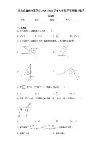 河北省唐山市玉田县2020-2021学年七年级下学期期中数学试题（word版 含答案）