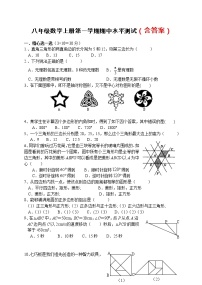 八年级数学（上）期中测试卷 (含答案) (5)