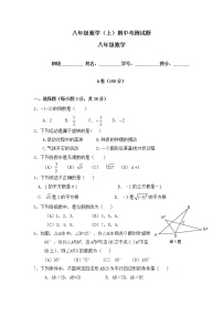 八年级数学（上）期中测试卷 （无答案） (4)