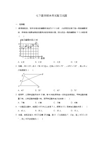 七年级数学人教版下册期末复习试题