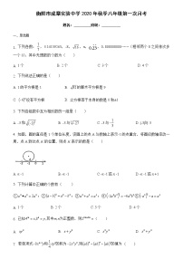 湖南省衡阳市成章实验中学2020年秋季八年级上学期第一次月考（无答案）练习题