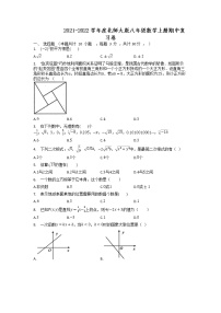 2021-2022学年度北师大版八年级数学上册期中复习卷（含答案）试卷