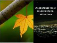 华师大版九年级上册3. 相似三角形的性质多媒体教学课件ppt