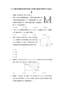 北师大版八年级上册3 勾股定理的应用课堂检测