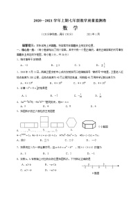 四川省眉山市青神县2020-2021学年七年级上学期期末考试数学试题