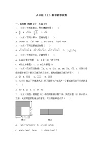 北师大版数学八年级上册期中数学试卷练习(有答案)