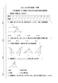 初中数学湘教版八年级上册第2章 三角形综合与测试习题