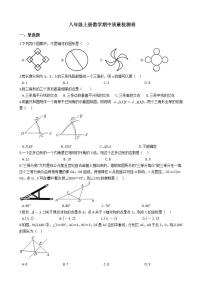 人教版八年级上册数学期中质量检测卷