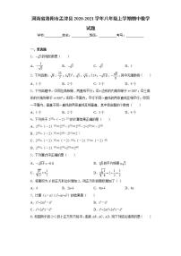 河南省洛阳市孟津县2020-2021学年八年级上学期期中数学试题(word版含答案)