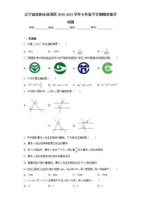 辽宁省沈阳市沈河区2020-2021学年七年级下学期期末数学试题(word版含答案)