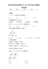 黑龙江省哈尔滨市道里区2020-2021学年七年级上学期期末数学试题(word版含答案)