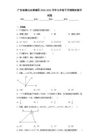 广东省佛山市禅城区2020-2021学年七年级下学期期末数学试题(word版含答案)