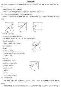 中考数学二轮复习难题突破：其他探究题（解析版）