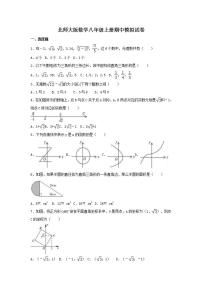 北师大版数学八年级上册期中模拟试卷04（含答案）