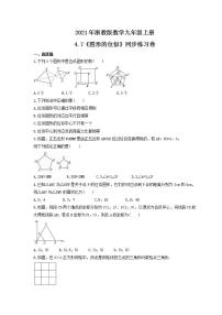 浙教版九年级上册4.7 图形的位似精练