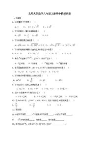 北师大版数学八年级上册期中模拟试卷五（含答案）