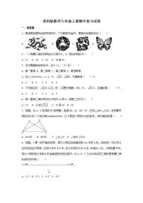 苏科版数学八年级上册期中复习试卷10（含答案）