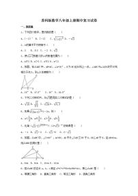 苏科版数学八年级上册期中复习试卷08（含答案）