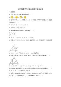 苏科版数学八年级上册期中复习试卷07（含答案）