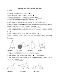 苏科版数学八年级上册期中模拟试卷四（含答案）