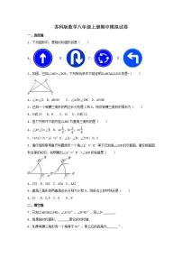 苏科版数学八年级上册期中模拟试卷八（含答案）