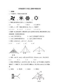 苏科版数学八年级上册期中模拟试卷06（含答案）