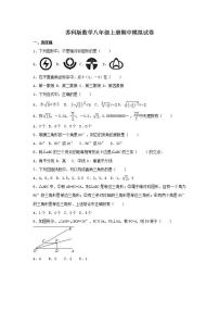 苏科版数学八年级上册期中模拟试卷02（含答案）