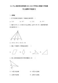 11.1与三角形有关的线段2021-2022学年度人教版八年级数学上册期中专题复习含解析