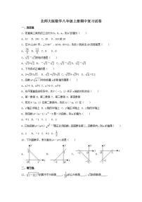 北师大版数学八年级上册期中复习试卷01（含答案）