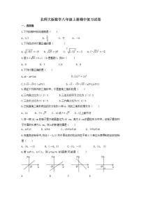 北师大版数学八年级上册期中复习试卷03（含答案）