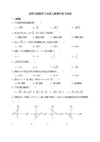 北师大版数学八年级上册期中复习试卷05（含答案）